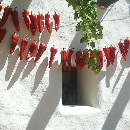 Hotel Rural Cortijo La Alberca Níjar Zewnętrze zdjęcie